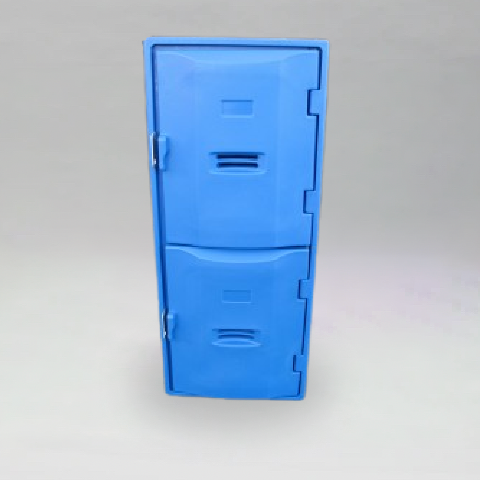 Double Door Locker